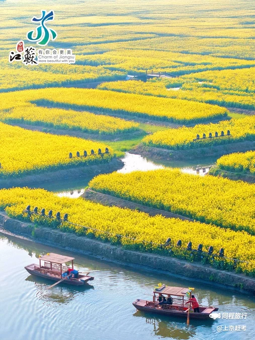 李中水上森林公园 - 泰州市旅游