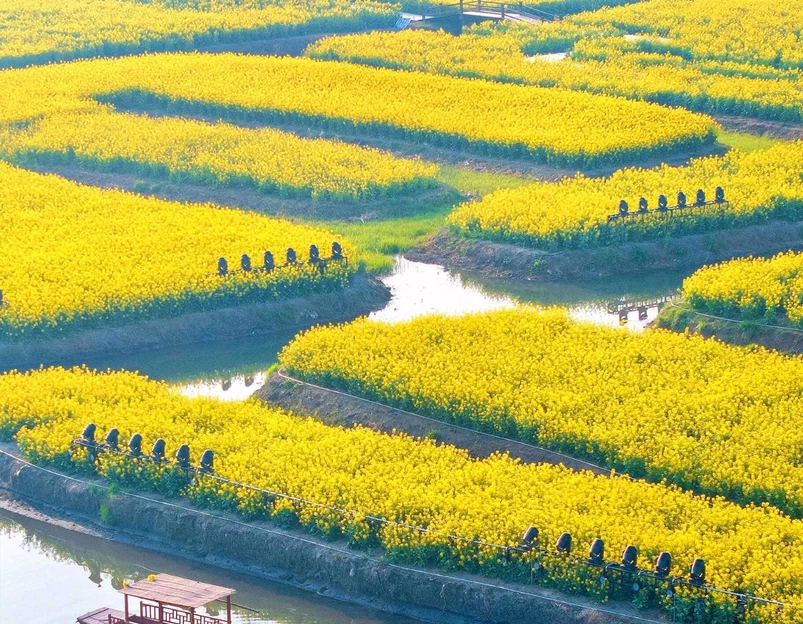 李中水上森林公园 - 泰州市旅游 1