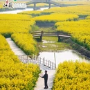 李中水上森林公园 - 泰州市旅游 缩略图 3