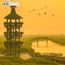 李中水上森林公园 - 泰州市旅游 缩略图 6