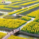 李中水上森林公园 - 泰州市旅游 缩略图 8