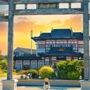 皂河龙运城 - 宿迁市旅游 缩略图 4