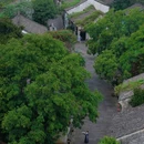 绍兴大禹开元观堂 - 绍兴市旅游 缩略图 2