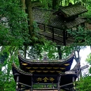云孚里云宿(峨眉山云水居) - 乐山市旅游 缩略图 6