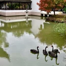 虎丘路新村-北门 - 苏州市旅游 缩略图 4