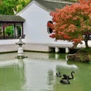 虎丘路新村-北门 - 苏州市旅游 缩略图 5