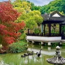 虎丘路新村-北门 - 苏州市旅游 缩略图 2