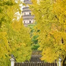 虎丘路新村-北门 - 苏州市旅游 缩略图 1