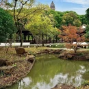虎丘路新村-北门 - 苏州市旅游 缩略图 9