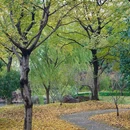 虎丘路新村-北门 - 苏州市旅游 缩略图 8