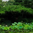 双秀公园 - 北京市旅游 缩略图 3