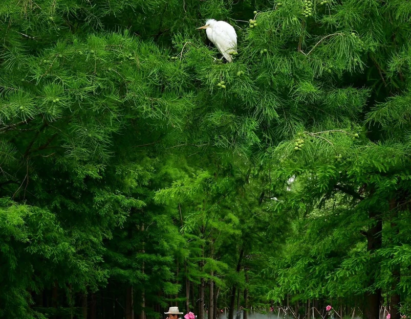 虞山尚湖旅游度假区 - 苏州市旅游 1