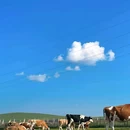 额尔古纳河乌兰山景区 - 呼伦贝尔市旅游 缩略图 4
