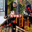 成都宽窄巷子西美居酒店(奎星楼店) - 成都市旅游 缩略图 7