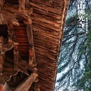 佛光寺(五台县) - 忻州市旅游 缩略图 4