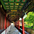 维也纳酒店(重庆上清寺牛角沱轻轨站店) - 重庆市旅游 缩略图 2
