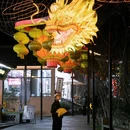 婺女洲度假区 - 上饶市旅游 缩略图 7