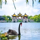 蜀冈瘦西湖风景名胜区 - 扬州市旅游 缩略图 2