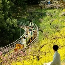 城山沟景区 - 湖州市旅游 缩略图 3