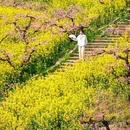 城山沟景区 - 湖州市旅游 缩略图 1