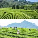 倚峦风吕温泉度假酒店 - 清远市旅游 缩略图 2