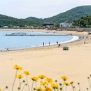 花筑奢·象山同尘院民宿 - 宁波市旅游 缩略图 3