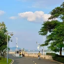 长洲岛 - 广州市旅游 缩略图 2