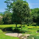 广东树木公园 - 广州市旅游 缩略图 1
