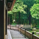 广东树木公园 - 广州市旅游 缩略图 6