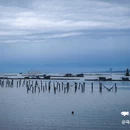 涂海艺术村民宿 - 防城港市旅游 缩略图 1