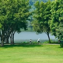 顺峰山公园 - 佛山市旅游 缩略图 1