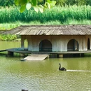 顺峰山公园 - 佛山市旅游 缩略图 9