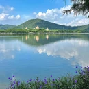 顺峰山公园 - 佛山市旅游 缩略图 8