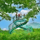 顺峰山公园 - 佛山市旅游 缩略图 7