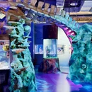 厦门科技馆 - 厦门市旅游 缩略图 3