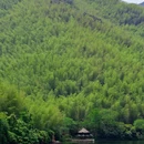 天目湖旅游度假区 - 常州市旅游 缩略图 4