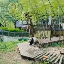 天目湖旅游度假区 - 常州市旅游 缩略图 6