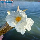 泸沽湖景区 - 丽江市旅游 缩略图 1