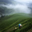 桂林旅游 缩略图 6