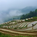 桂林旅游 缩略图 9