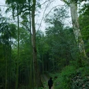 莫干山依山依水·设计师名宿 - 湖州市旅游 缩略图 8