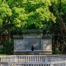 五马街 - 温州市旅游 缩略图 4