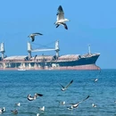 悦海公园 - 威海市旅游 缩略图 4