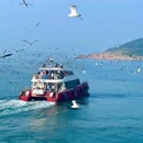 悦海公园 - 威海市旅游 缩略图 6