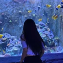深圳小梅沙海洋世界 - 深圳市旅游 缩略图 1