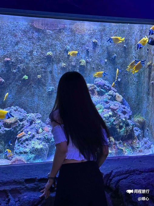 深圳小梅沙海洋世界 - 深圳市旅游