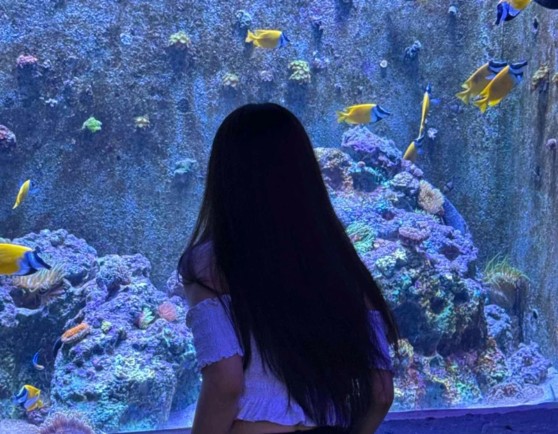 深圳小梅沙海洋世界 - 深圳市旅游 1