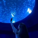 深圳小梅沙海洋世界 - 深圳市旅游 缩略图 4