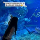 深圳小梅沙海洋世界 - 深圳市旅游 缩略图 3