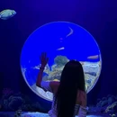 深圳小梅沙海洋世界 - 深圳市旅游 缩略图 5